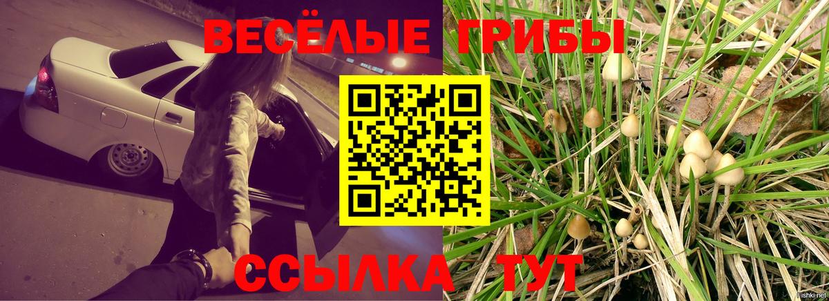 Галлюциногенные грибы мицелий Георгиевск